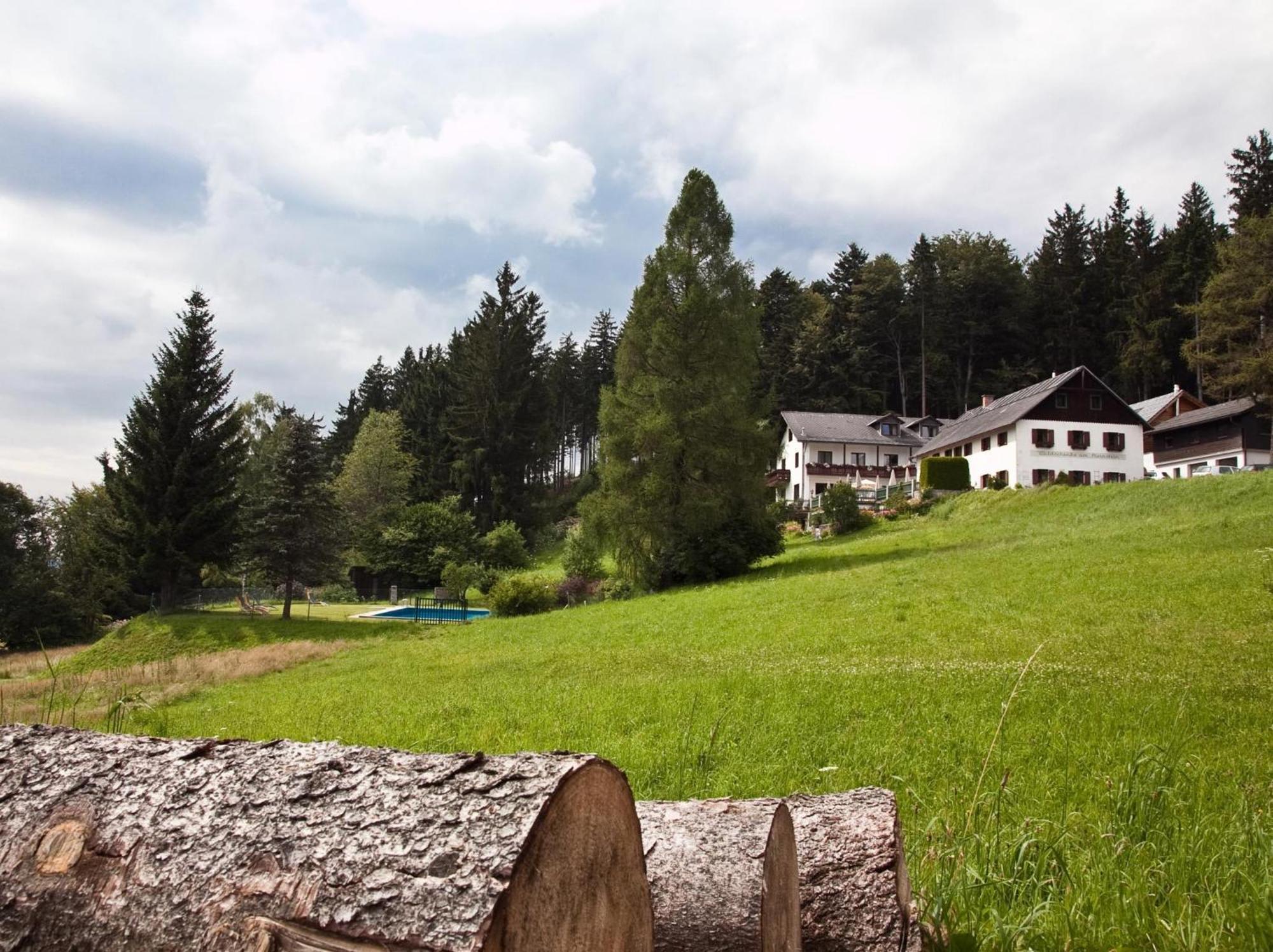 Hotel Gasthof Waldschenke Bad Leonfelden Exterior foto